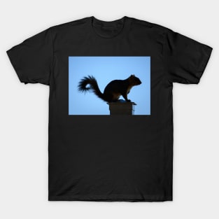 The Look Out T-Shirt